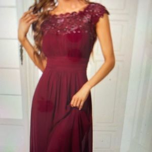 Elegant Lace Dress